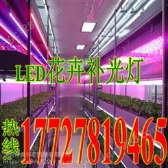 LED植物生长灯_水培蔬菜LED植物灯