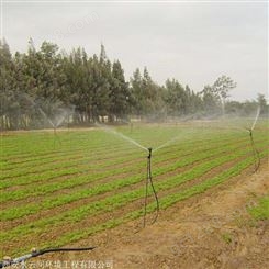 果园、蔬菜大田自动喷灌系统设计 节水灌溉设备安装施工