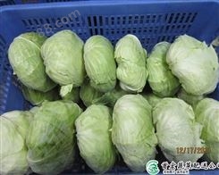 送菜服务公司_大岭山农产品配送_首宏蔬菜配送公司