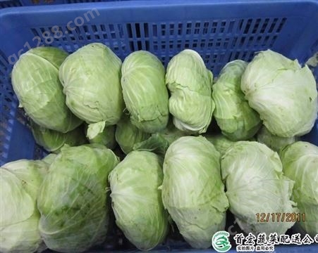 送菜服务公司_大岭山农产品配送_首宏蔬菜配送公司