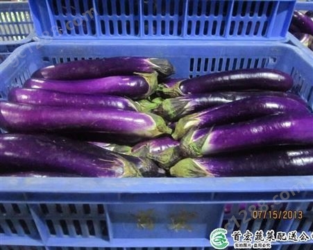 生鲜果蔬配送_石龙蔬菜配送_首宏蔬菜配送公司