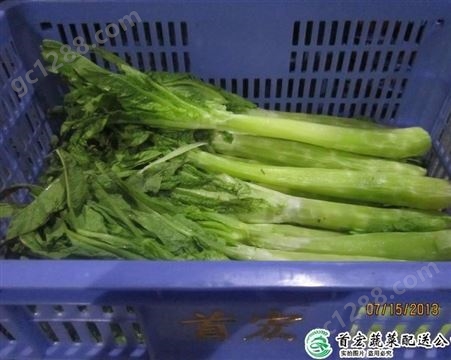蔬菜配送_农产品配送服务_首宏蔬菜配送公司