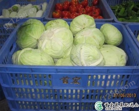 企业蔬菜配送_凤岗配送蔬菜_首宏蔬菜配送公司
