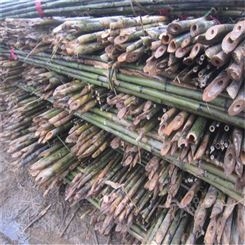 大量批发供应格尔木竹杆 绑扶枸杞树苗用的绑竹杆