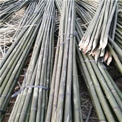 大量批发优质菜园搭架竹竿 菜架竹 绿化支撑竹杆 园林工程竹杆