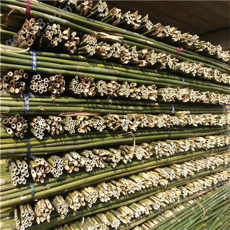 大量批发瓜州竹竿 绑扶枸杞树苗的优质绑竹杆