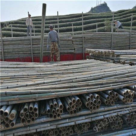 批发工地用硬竹杆 2米-6米竹梢竹尾