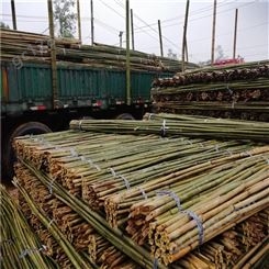 4米竹竿 4米农用竹竿 4米园林竹竿