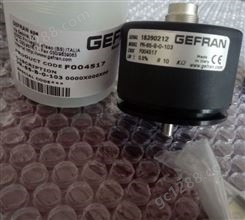 意大利GEFRAN杰佛伦角度传感器电位器PR-65-B-0-103 F004517