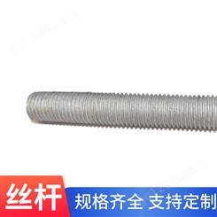 耐油耐磨 丝杆M20牙条螺柱PA6双头螺纹 可定制异形件