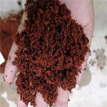 低盐椰糠 进口椰糠 斯里兰卡椰糠砖 寿光绿田国际