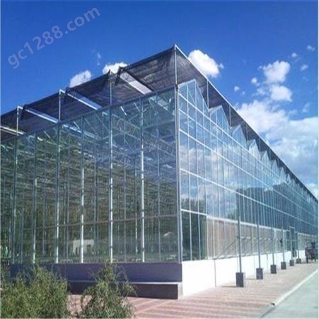 春丰温室 玻璃温室工程 花卉种植日光温室大棚