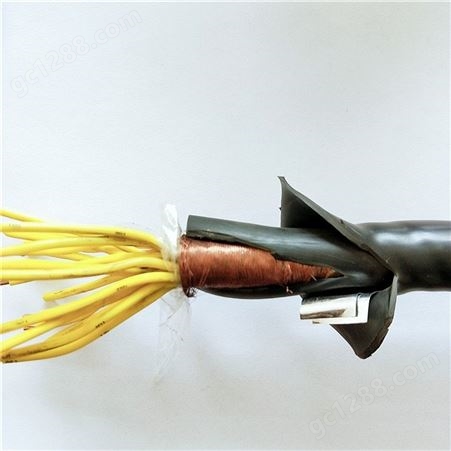 ZRC-DJYPVRP22钢带铠装屏蔽电缆报价