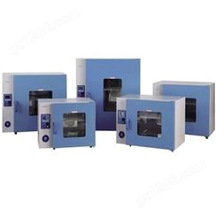 供应 上海 一恒PH-010A 电热干燥箱 鼓风干燥箱 实验室干燥箱 立式干燥箱 鼓风干燥箱 热风干燥箱