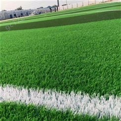 12000针人造草坪铺设小学足球场地 运动场地