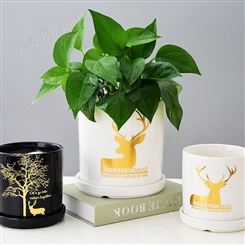 北欧简约现代陶瓷花盆 小号创意个性家用室内 绿萝绿植水培花盆花器