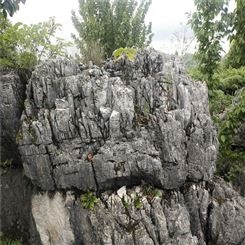 点金园林内灰色龟纹石假山制作 龟纹石造景 龟纹石批发