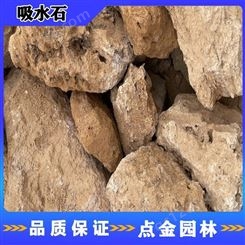 广东吸水石报价 吸水石厂家批发 吸水石可用于室内外 点金园林直销
