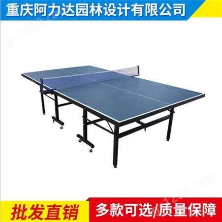 乒乓球桌 家用乒乓球桌 阿力达 移动乒乓球台 