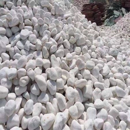 白石子 机制鹅卵石 园林造景20-30cm石头 现货批发