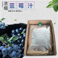 花青健蓝莓浓缩汁 大兴安岭蓝莓浓缩汁 25kg无菌袋装