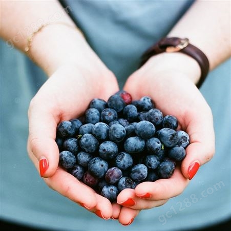 花青健蓝莓浓缩汁 大兴安岭产地蓝莓汁 蓝莓汁饮品原材料