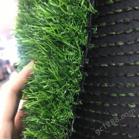 昆明围挡草坪品牌|昆明塑料草坪|昆明仿真草坪质量