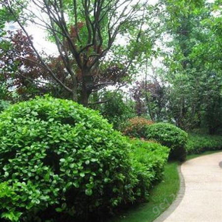 荆州公园园林景观设计 城市园林与景观设计 园林景观报价表 润泽蔚来