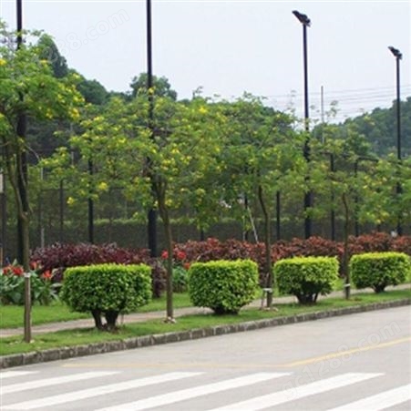 武汉绿化工程施工 城市绿化景观 景观绿化园林 润泽蔚来 b000363