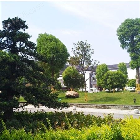 武汉微型景观园林 园林工程景观 园林绿化景观工程施工 润泽蔚来 b000241