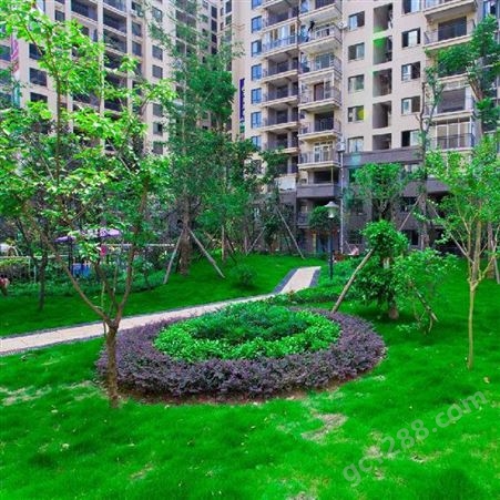 武汉园林绿化施工 绿化景观 园林景观公司 润泽蔚来 b000341