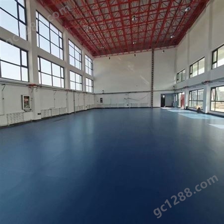 室内体育 地胶PVC地板 防滑耐磨 羽毛球运动场