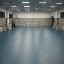 供应商厂家 塑胶地胶 按需定制 舞蹈教室地板