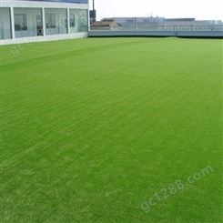 齐齐哈尔球场运动场草坪球场 门球场草坪球场面层 绿色学校操场人造草坪