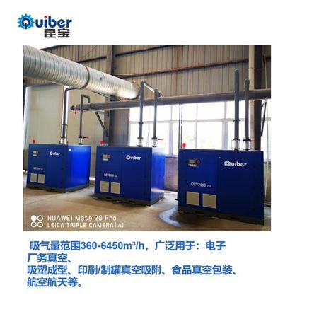 真空泵QBV1300系统节能真空泵真空零部件专业生产真空设备昆宝
