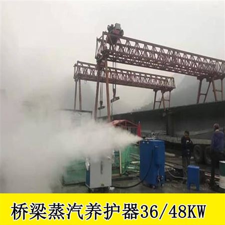 新疆阿克苏蒸汽发生器48KW电加热桥梁养护器